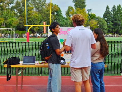 Groceries being sorted and organized