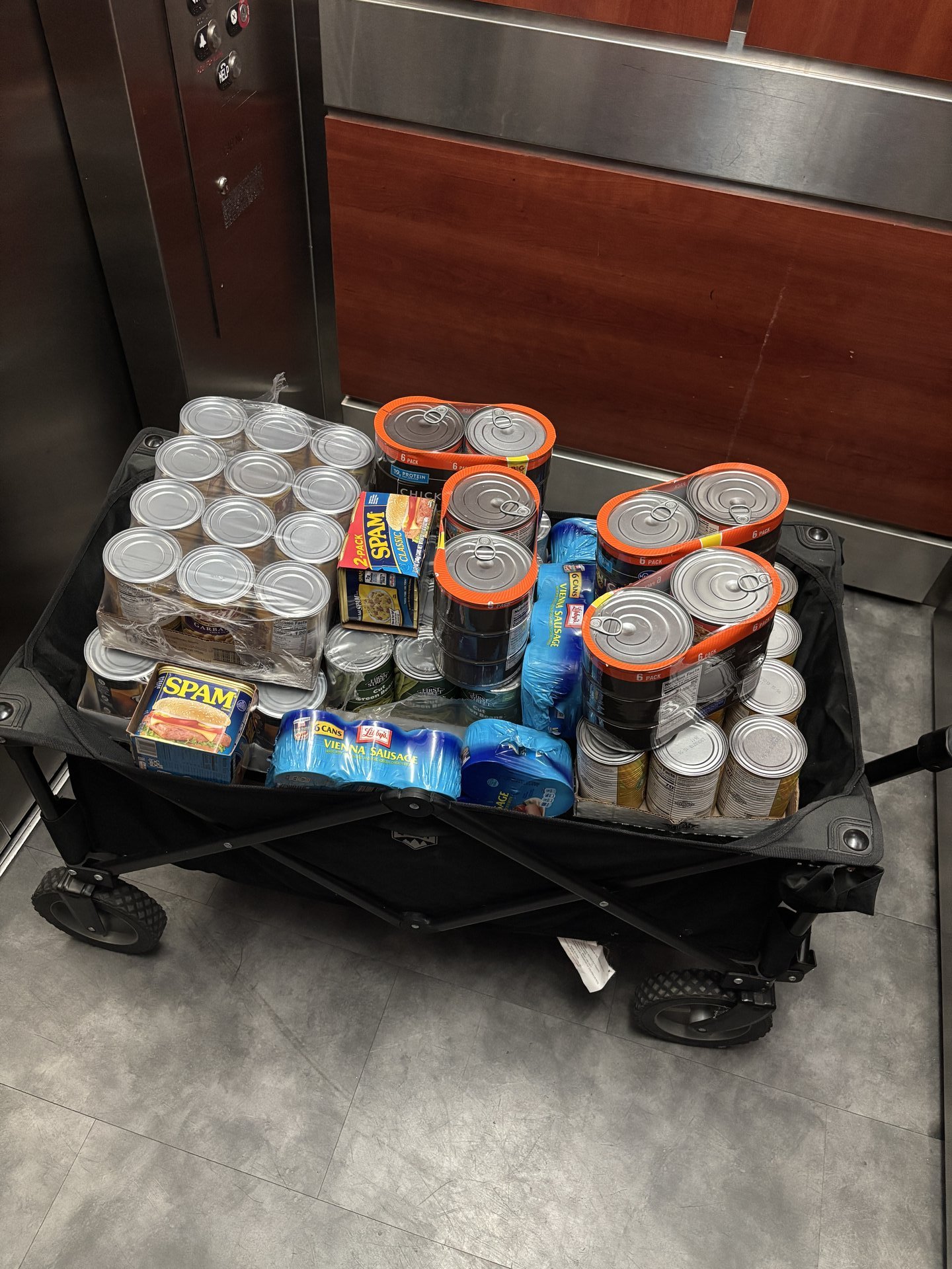 Food distribution event - family support